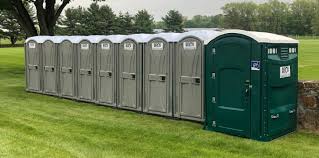 Best Standard Portable Toilet Rental  in Stedman, NC